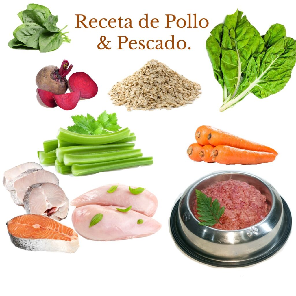 Receta Natural de Pollo, Pescado & Vegetales