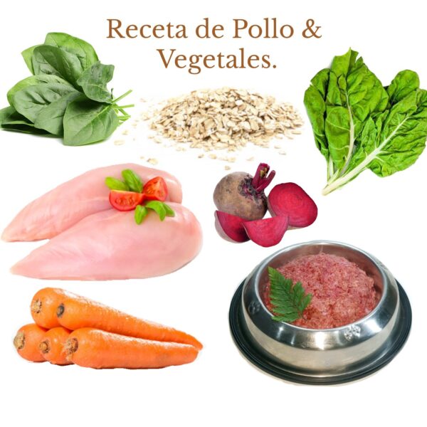 Receta Natural de Pollo & Vegetales